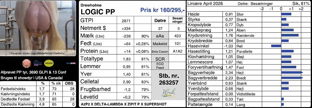 Udklip Logic PP