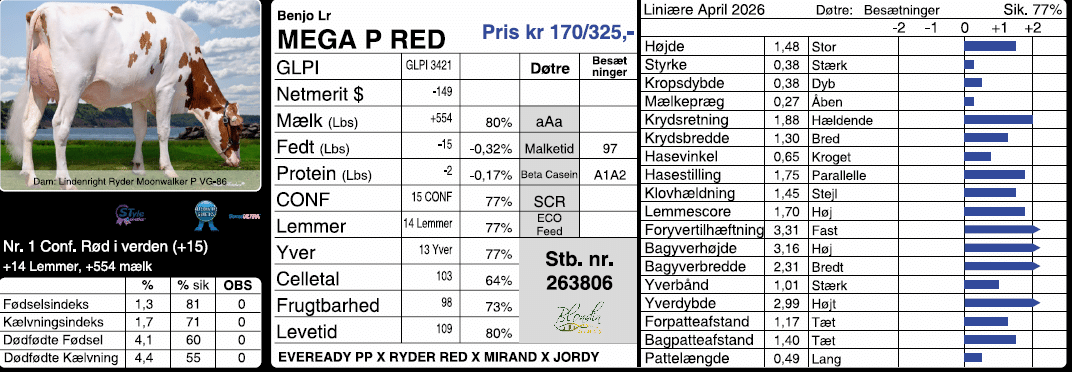 Udklip Mega P Red